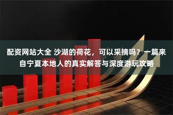 配资网站大全 沙湖的荷花，可以采摘吗？一篇来自宁夏本地人的真实解答与深度游玩攻略